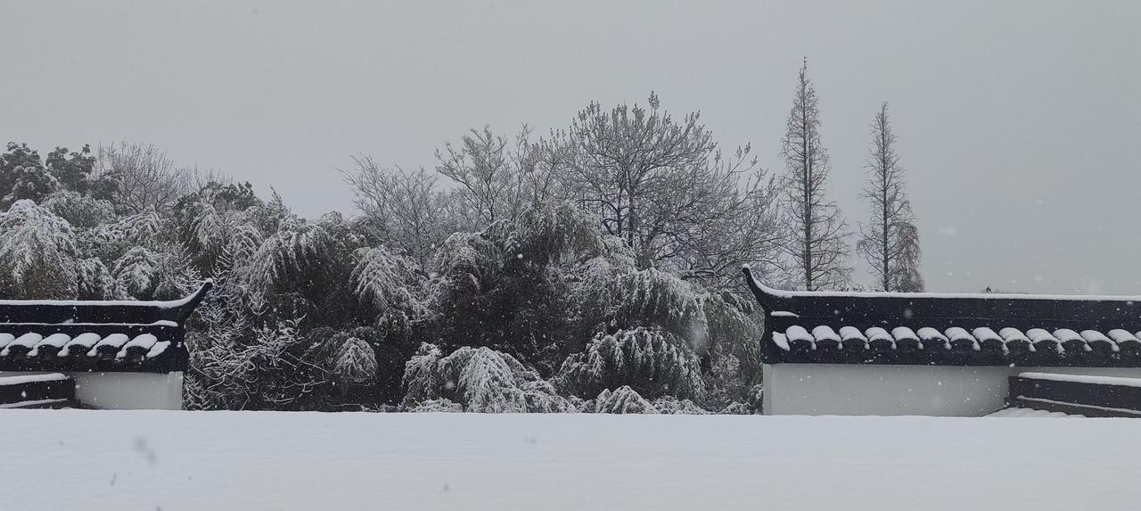 最后两张是十年前的照片，没想到煮水壶十岁了南方下雪了 今日大雪 你的城市下雪了吗