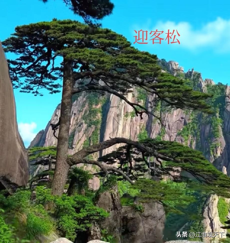 黄山市的屯溪到太平，26号站点巴士会开通运营，出行越来越方便了
提起黄山旅游，大