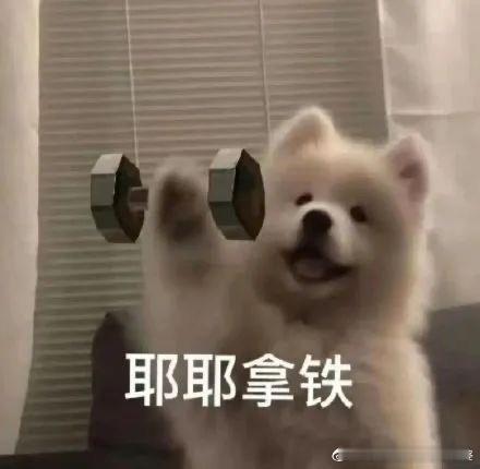 秦岚 金子涵与秦岚有个毛关系，明明说的她自己的经纪公司好吧。而且，一看就是脑子有