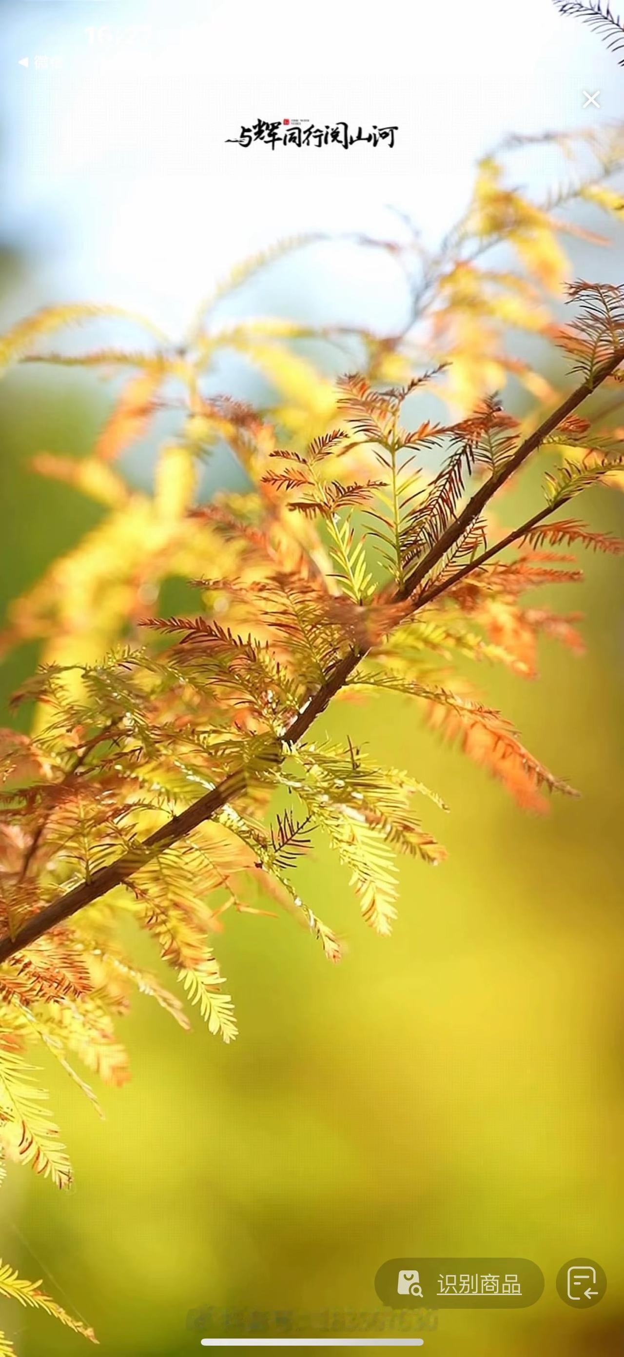 为期三天的安徽外场在宇辉精彩的总结声中完美的画上了句号。
这次的安徽之行，
无疑