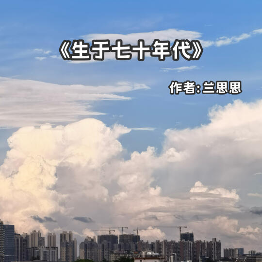 宅家小说｜现实向婚恋文《生于七十年代》