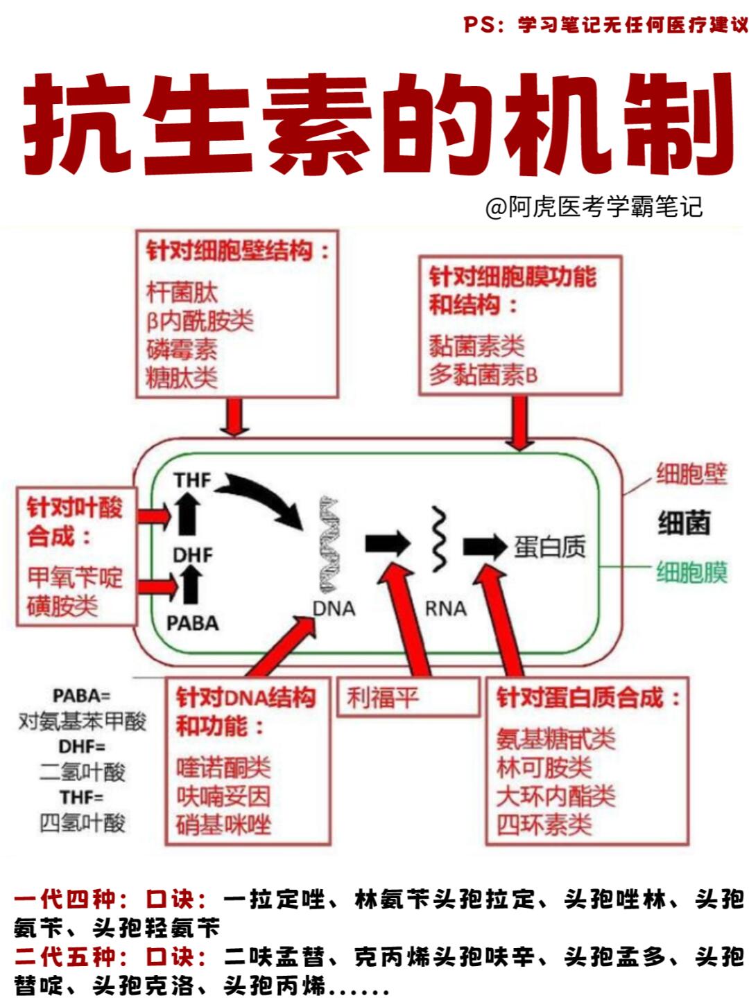 阿虎医考学霸笔记📒：抗生素作用机制👆