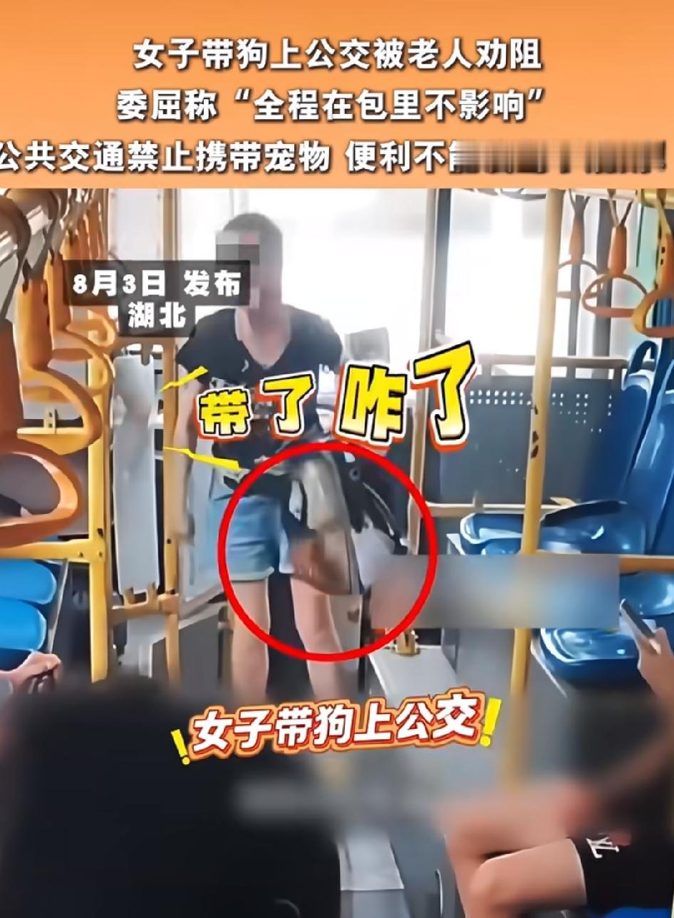 近日，在湖北襄阳，一女子带狗进入公交车，被老人劝阻，该女子很委屈很生气。
其实她