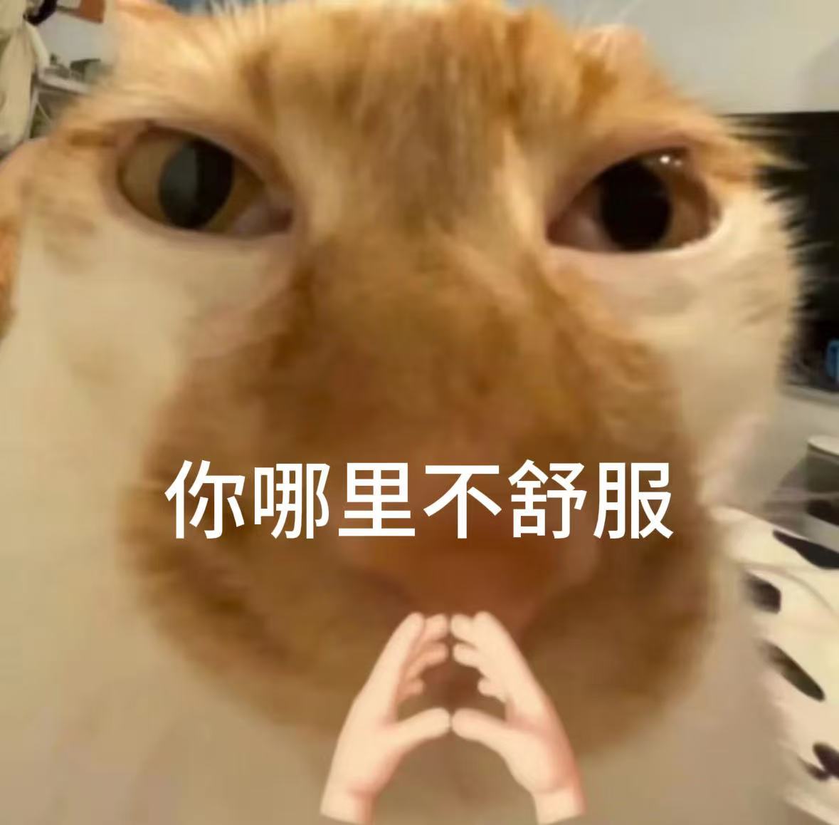 怪不得医生有时候会反复套话 原来是全障碍沟通啊朋友是护士，经常会跟我吐槽在病房里