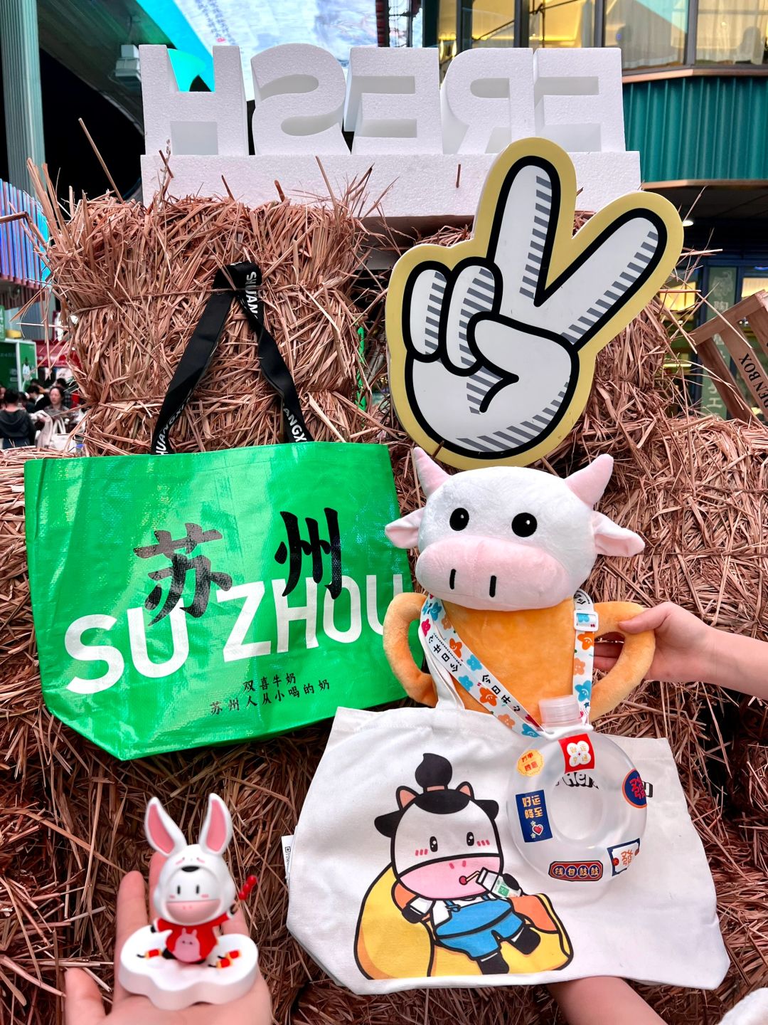 苏州人周末都在这里了吧！！免费市集🎏