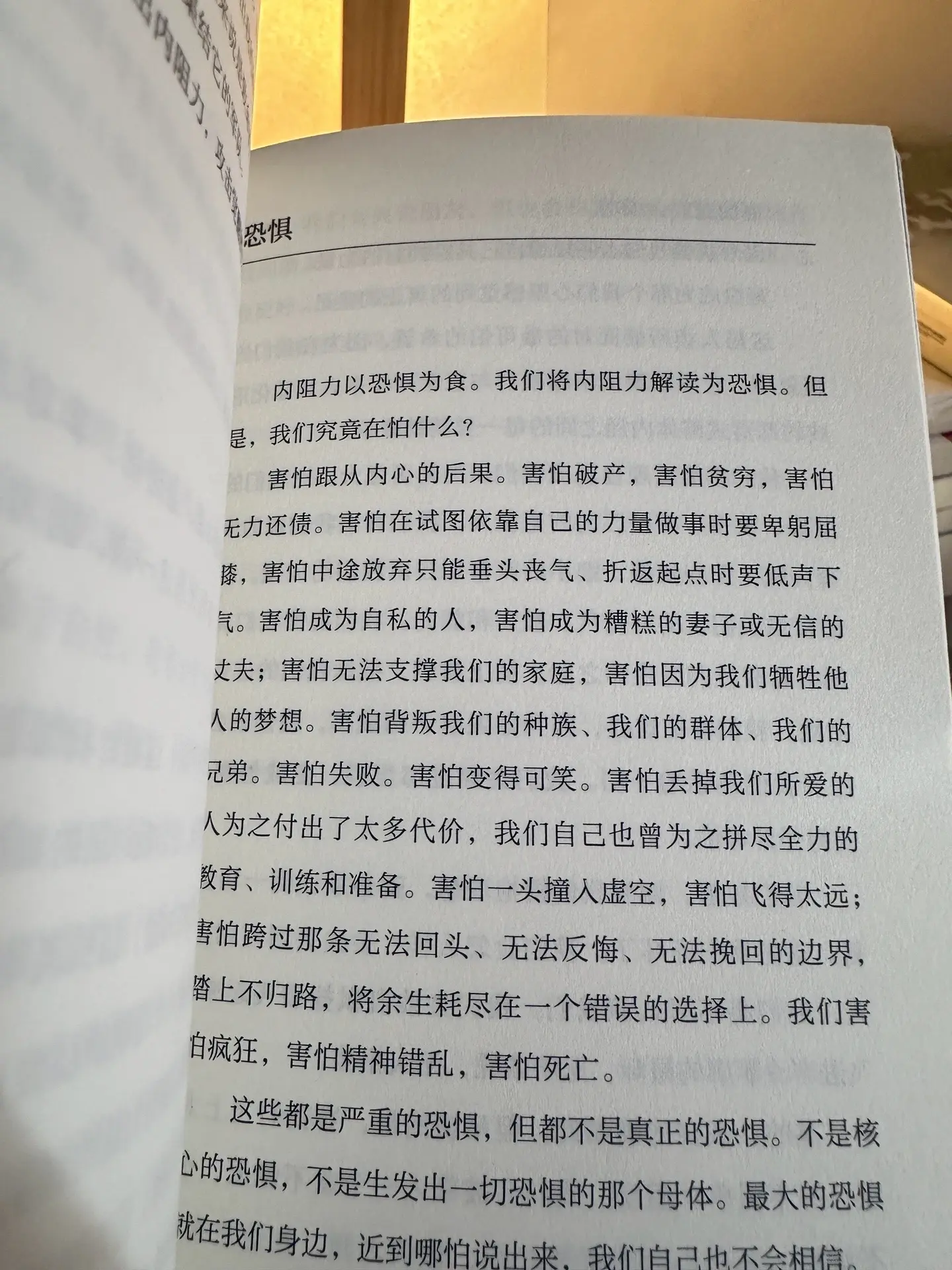一生之敌， 相比贫穷与疾病， 内阻力才是你的一生之敌， 如何去战胜？