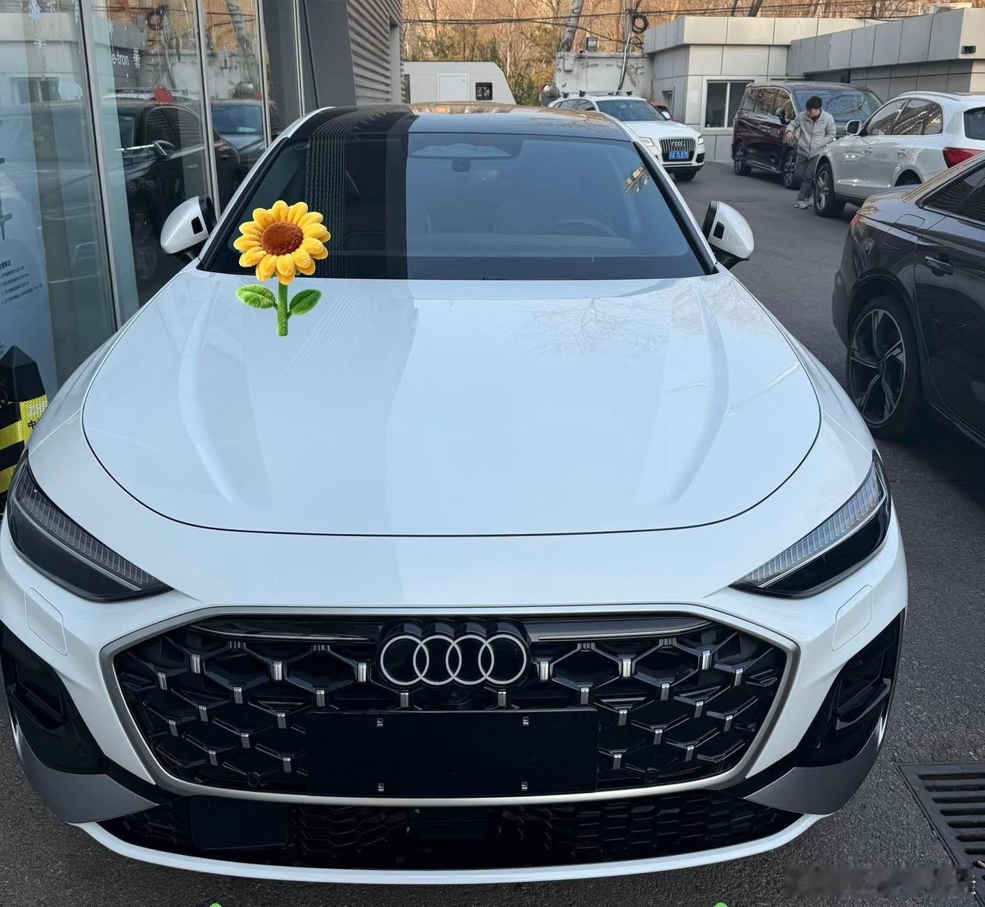 28万买“德味老司机”？奥迪这波操作，让电动车都沉默了！车圈出了个“离谱”新闻：