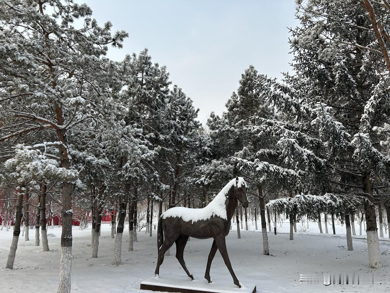 身为东北人，你讨厌冬天吗