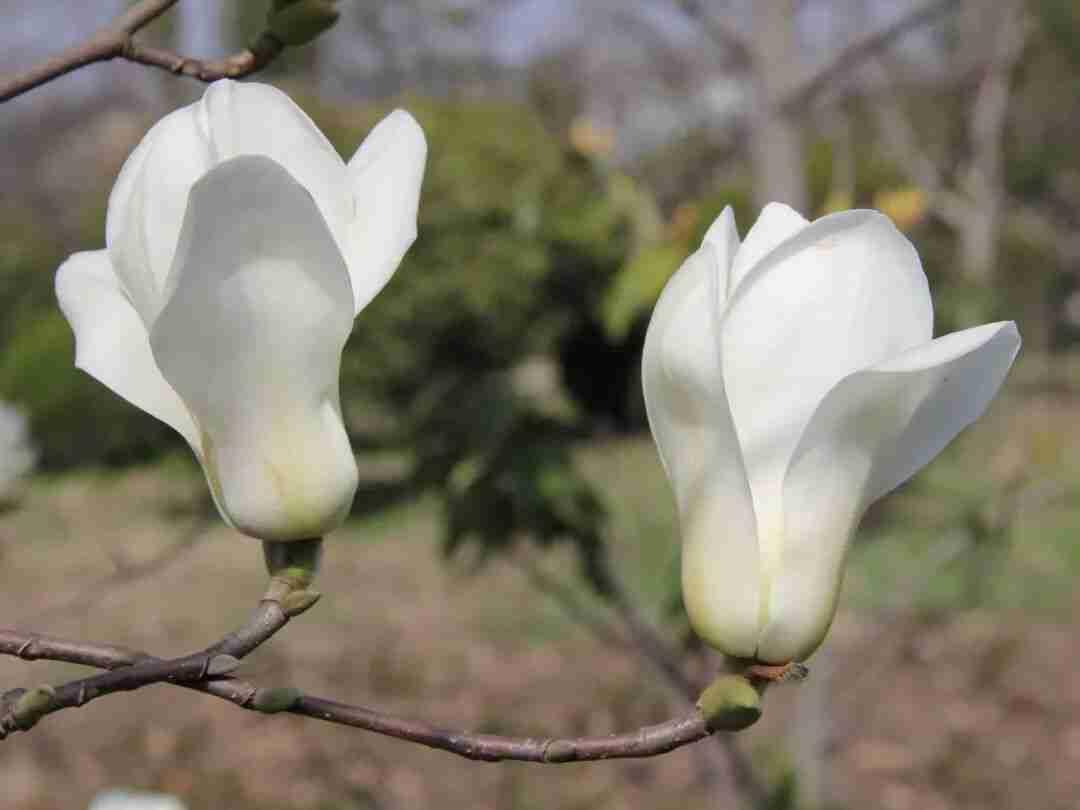 我的今日状态：😁轻松愉快
我这里的天气：☀️晴天