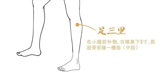 脾胃调理推荐四个按摩法1、捏脊捏脊疗法通常用于小儿，但对成年人一样有效，适用于消