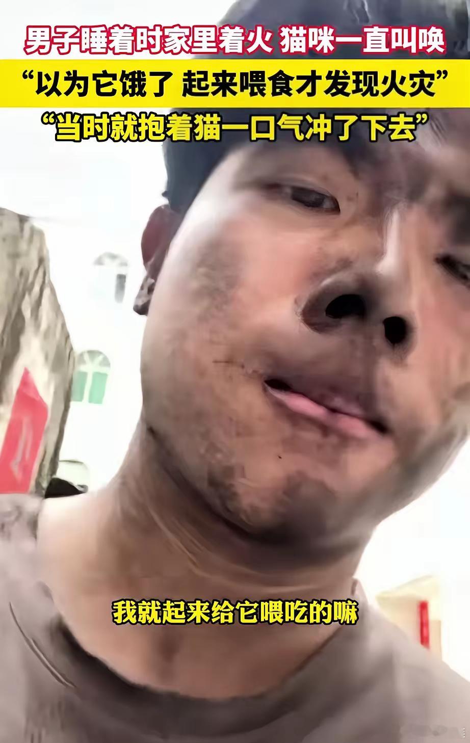 男子睡觉时，猫咪一直站在枕头边叫，他以为猫咪饿了，迷迷糊糊起来给猫咪倒猫粮，这时