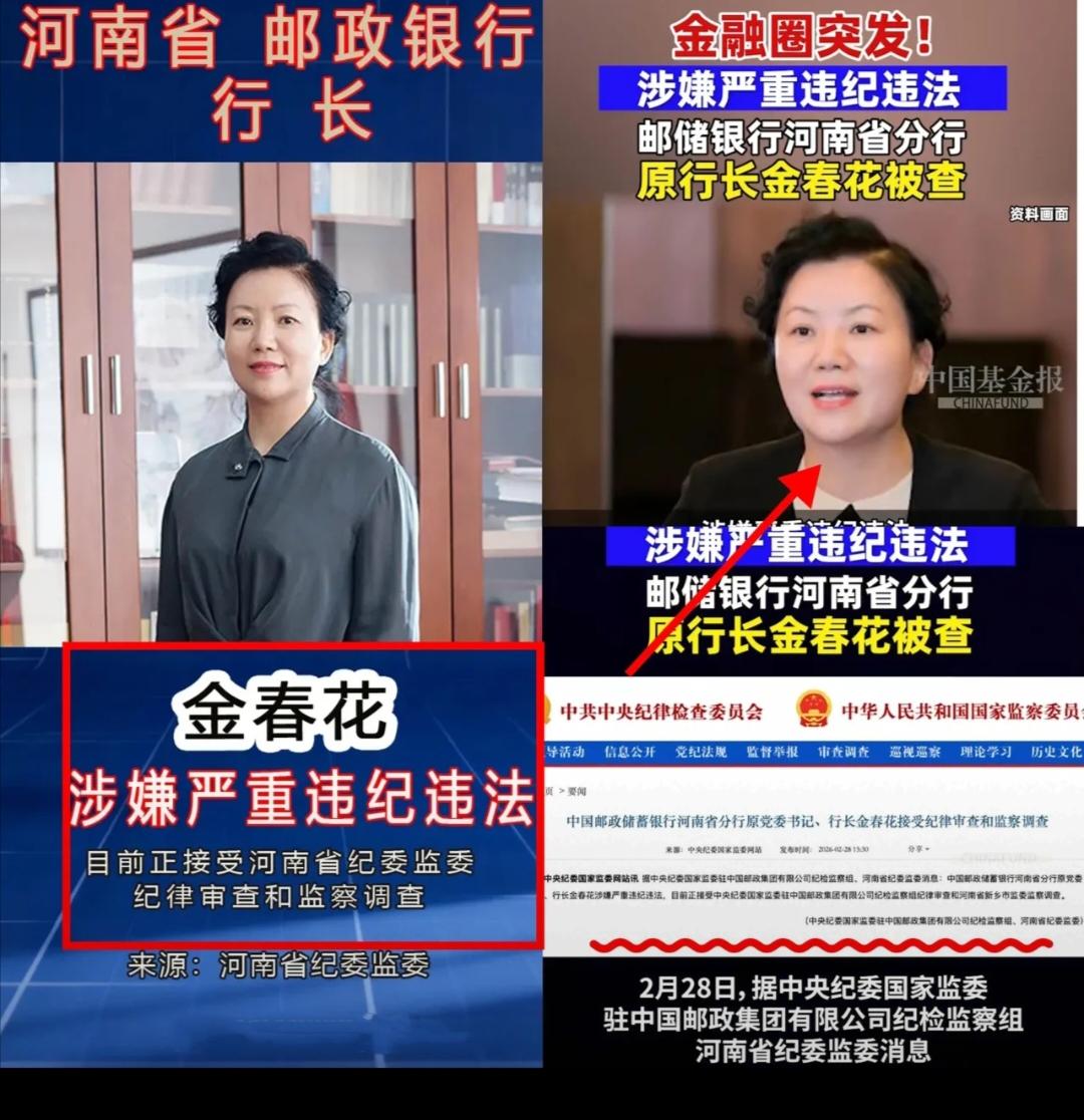 金融圈又震惊了！
看来
金融反腐越来越严了，谁也别心存侥幸。
就下近日
河南省邮