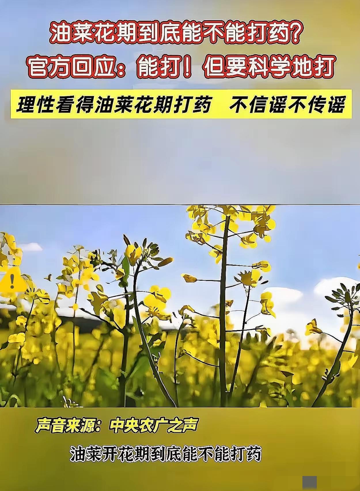 最惨蜂农，一夜破产！湖南江西这波操作，

真的让养蜂人欲哭无泪。
 
油菜盛花期