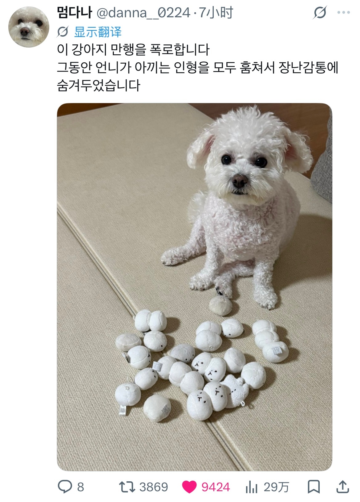推上万赞一条 小狗狗和团子ㅋㅋㅋㅋ：我要揭露一下这只狗狗的恶行它一直把姐姐珍爱的