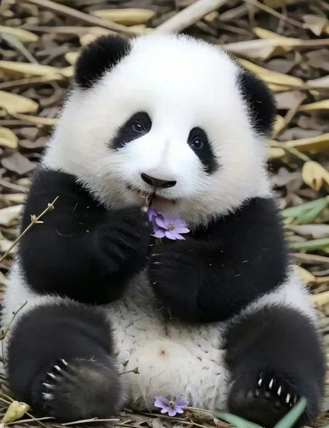 四川省考大家答的怎么样？