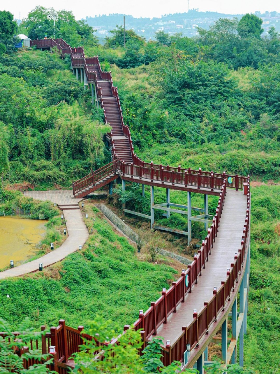 成都周边亲子徒步✅｜龙泉钟家山森林绿道~