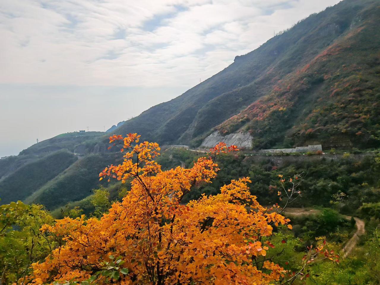 上联：情投意合同甘苦
下联：风雨同舟共喜乐
