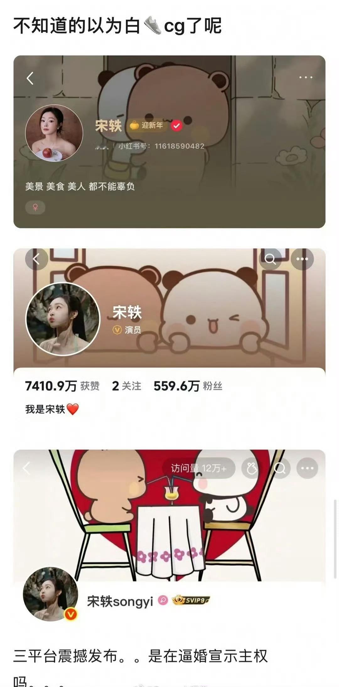 没想到跨年瓜是宋轶和白敬亭！刘大锤曝宋轶想要结果白敬亭不给刘大锤说白敬亭宋轶还是