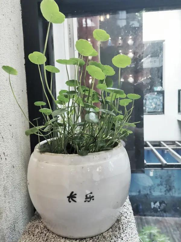 女人长得好和嫁的好,哪个重要? 女人长得好和嫁得好，哪个重要这问题一直被讨论。长