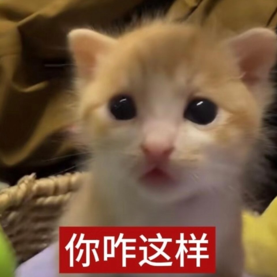 曝方圆隆胸了不儿人家想干啥就干啥呗…爱美很正常吧…这也要管吗