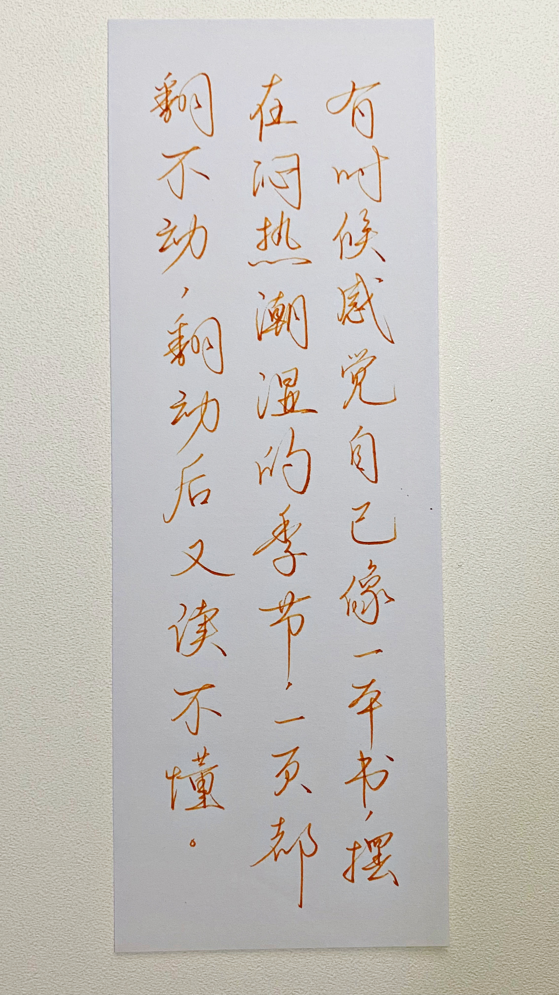 今日作业（2026.8.14）有时候感觉自己像一本书，摆在闷热潮湿的季节，一页都