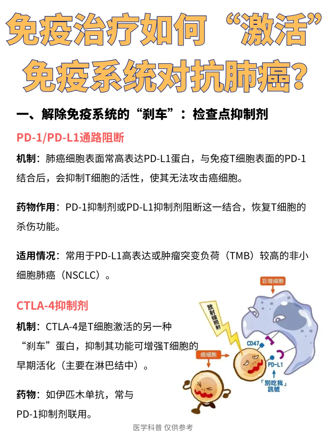 免疫治疗是如何起作用的？