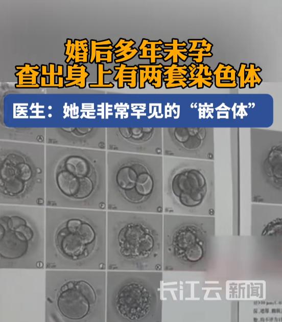 7 月 31 日消息，河南洛阳一位女士结婚许久没能怀上孩子，去医院检查才查出身体