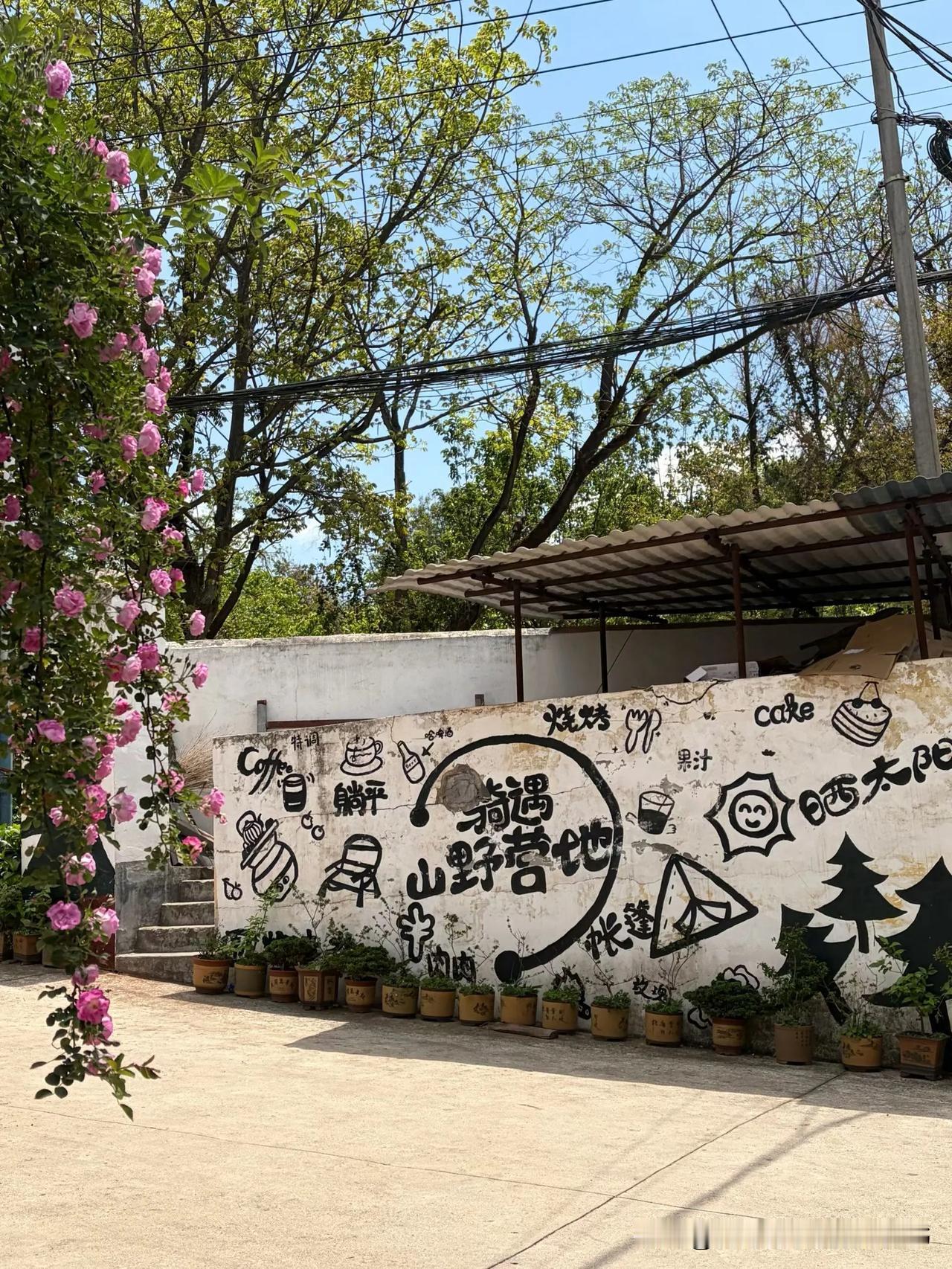 春日生活打卡季