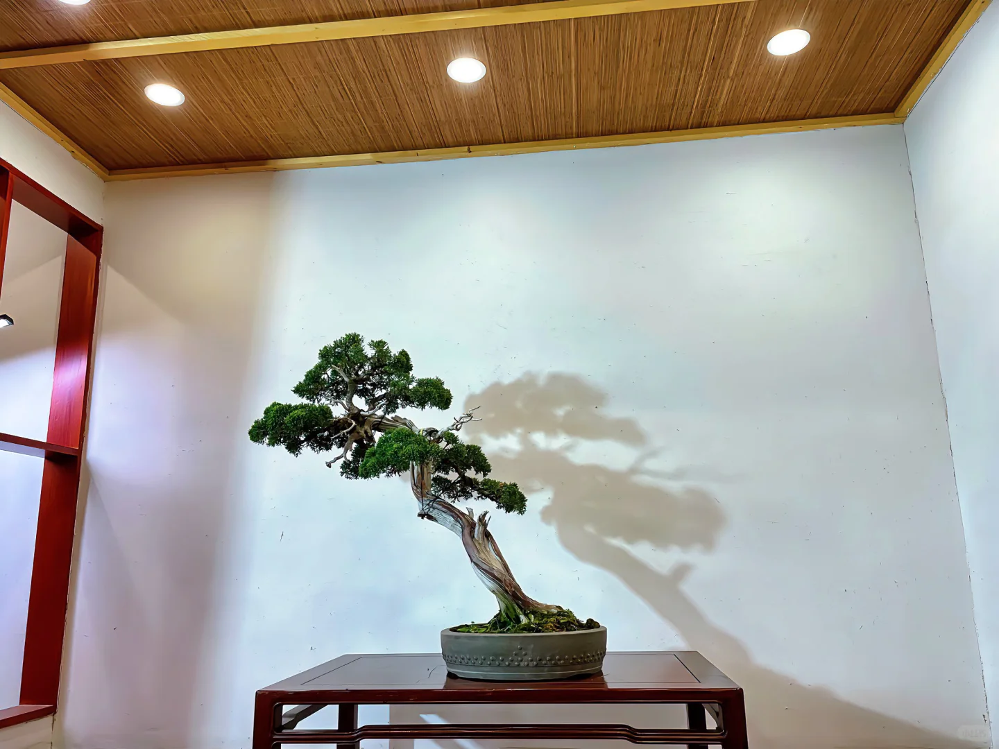 俯仰之间，气韵自彰。