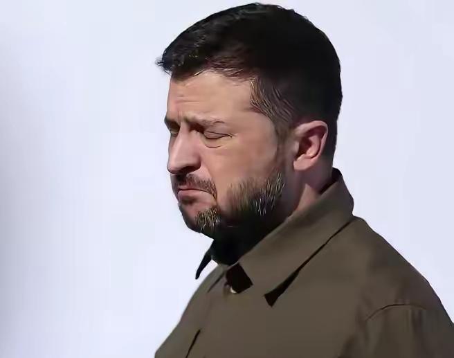 泽连斯基心都凉了！

在匈牙利国会选举中获胜的蒂萨党主席毛焦尔表示:乌克兰加入欧