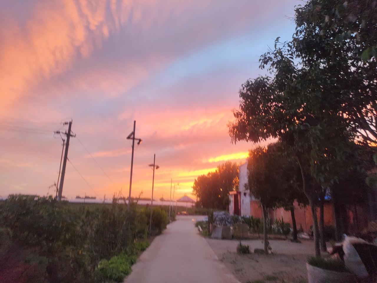 小电驴新国标对咱消费者影响还真不小。从价格上看，因为生产成本上升，终端售价涨了不