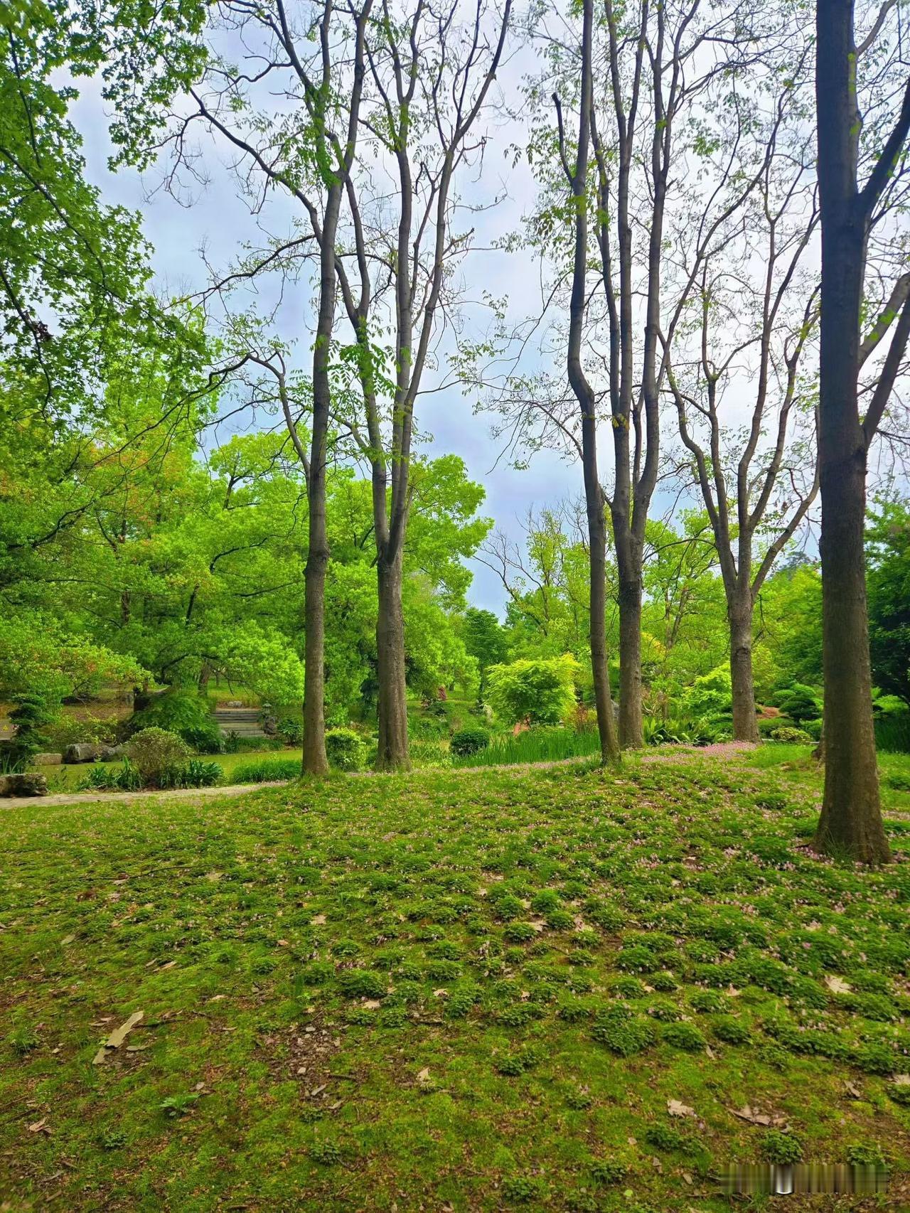 真是太奇怪了，退休半年，我小叔不知怎么了，彻底变了个人

其实，不只是退休后，我