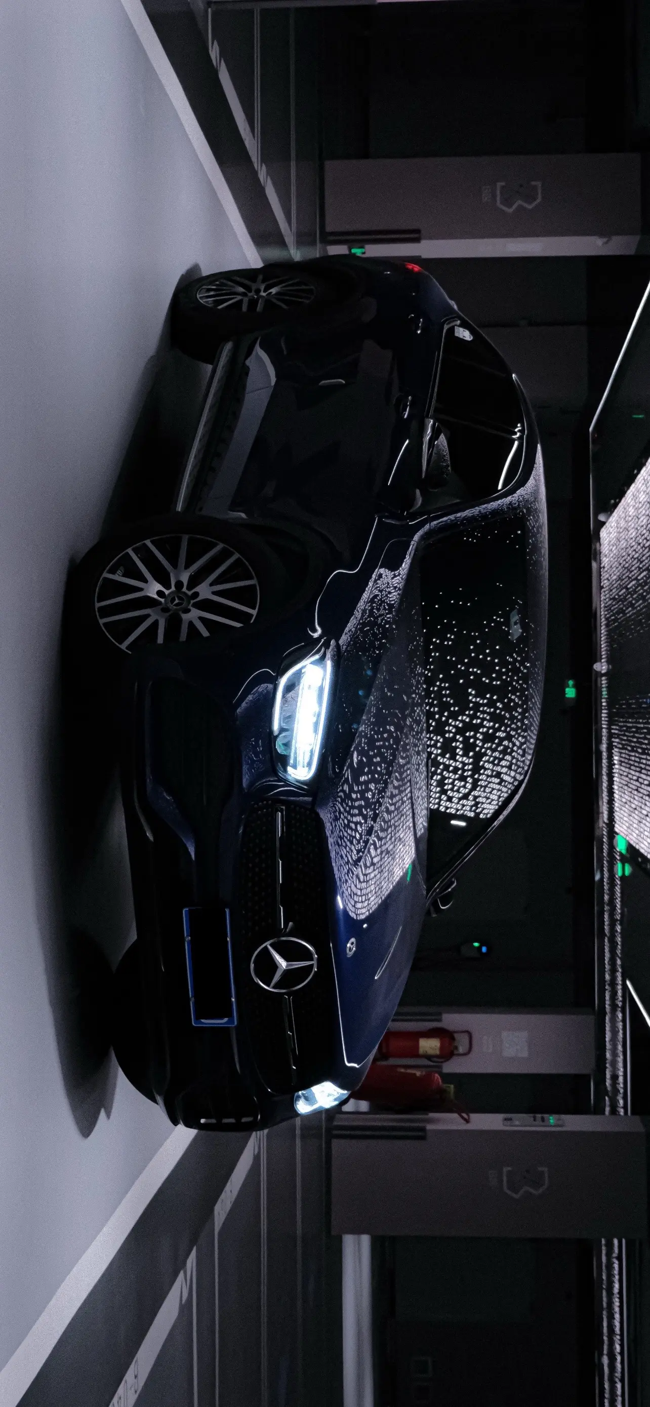 三叉星辉的优雅魅力。