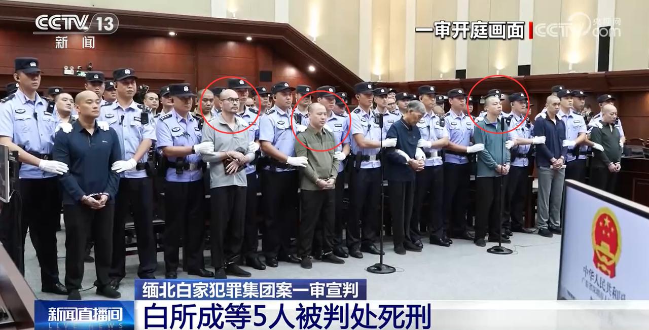 白家集团有五人判处死刑！
除了白所成和白应苍死刑以外，还有杨立强、胡小姜、陈广益