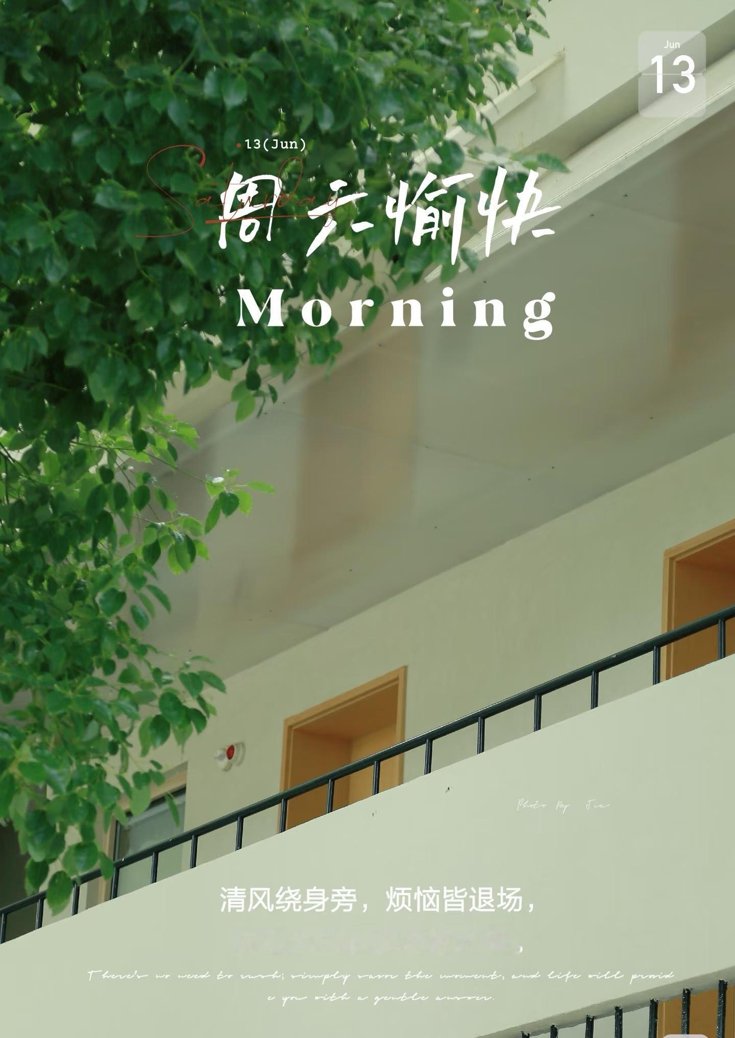 早安 早上好生活简单，日子温暖。既要尽兴，也要随心，既要决心，也要开心。尽情感受