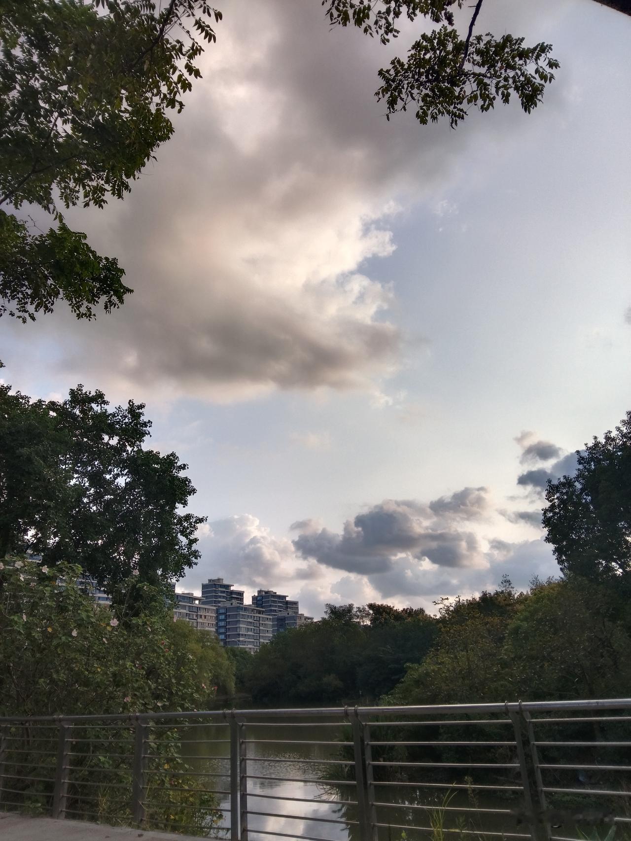 先撇开国际局势不谈，来看看要是从俄罗斯内部，有人想通过合法途径把普京拉下台，到底