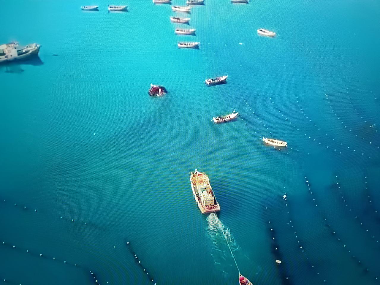 这个大海怎么样？非常漂亮吧