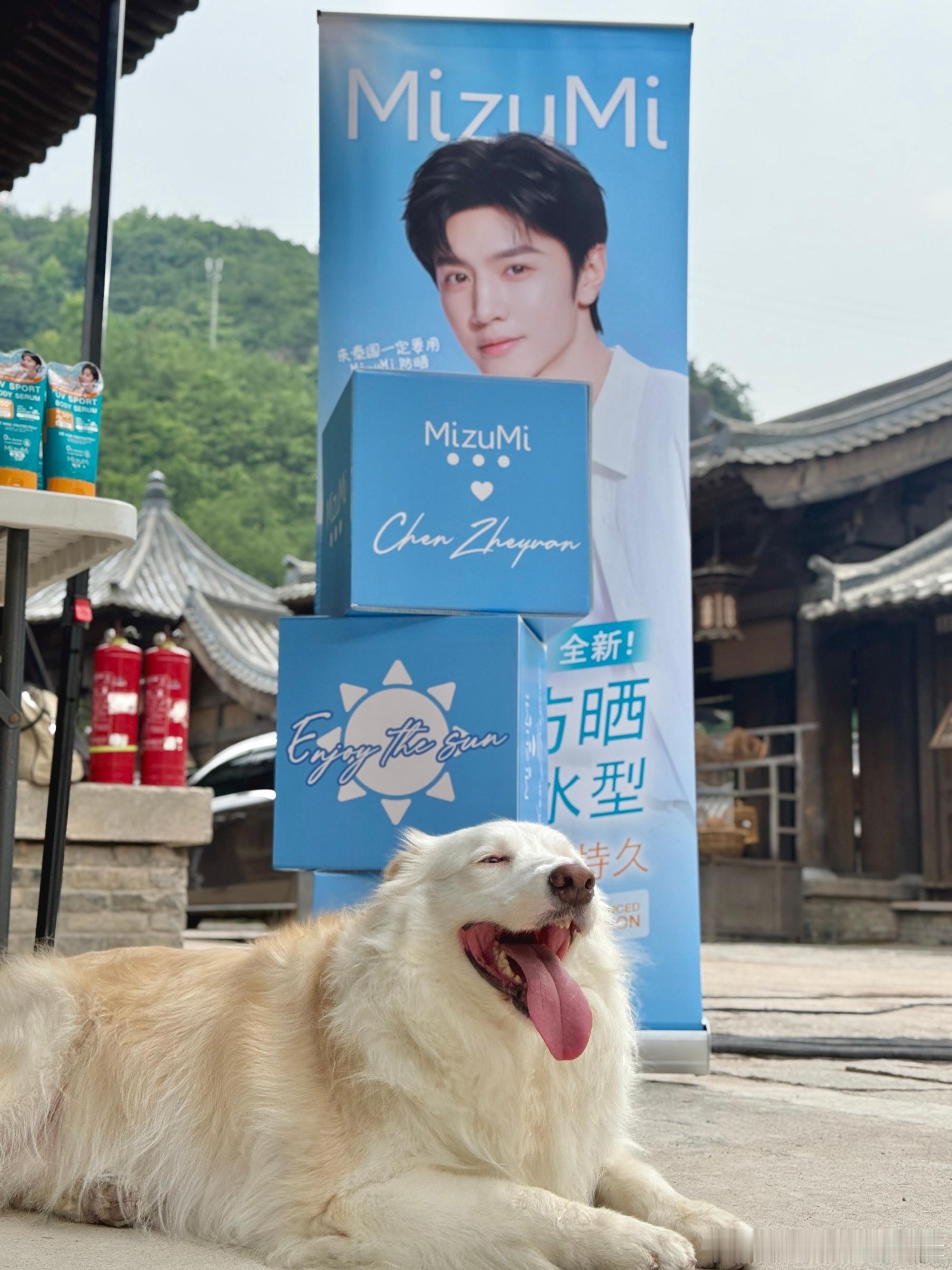 这么乖的zan好想偷过来陈哲远mizumi品牌代言人 