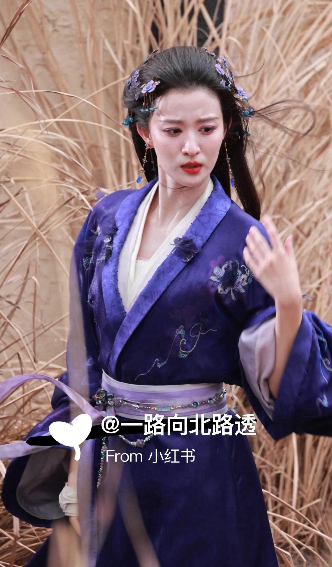 王楚然《浮生》生图 