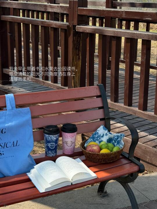 我会早上九点去公园读书。