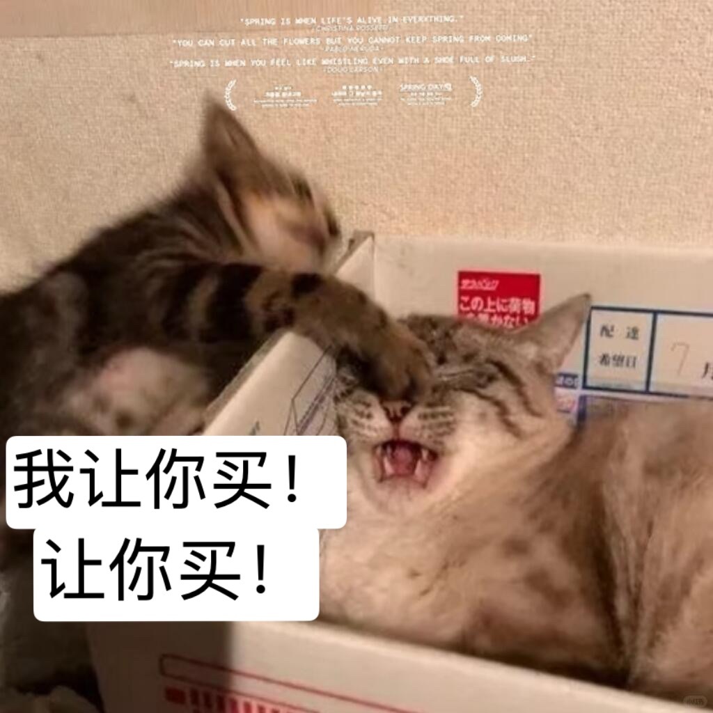 我跟王女士：我要换车！王女士：你抽什么风我：我要换那种高高的大吉普！王女士：我看