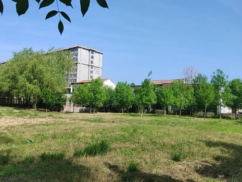 据说现在负债人收到的催款短信80%都是所谓的法律咨询公司发的，除了正常合理的催款