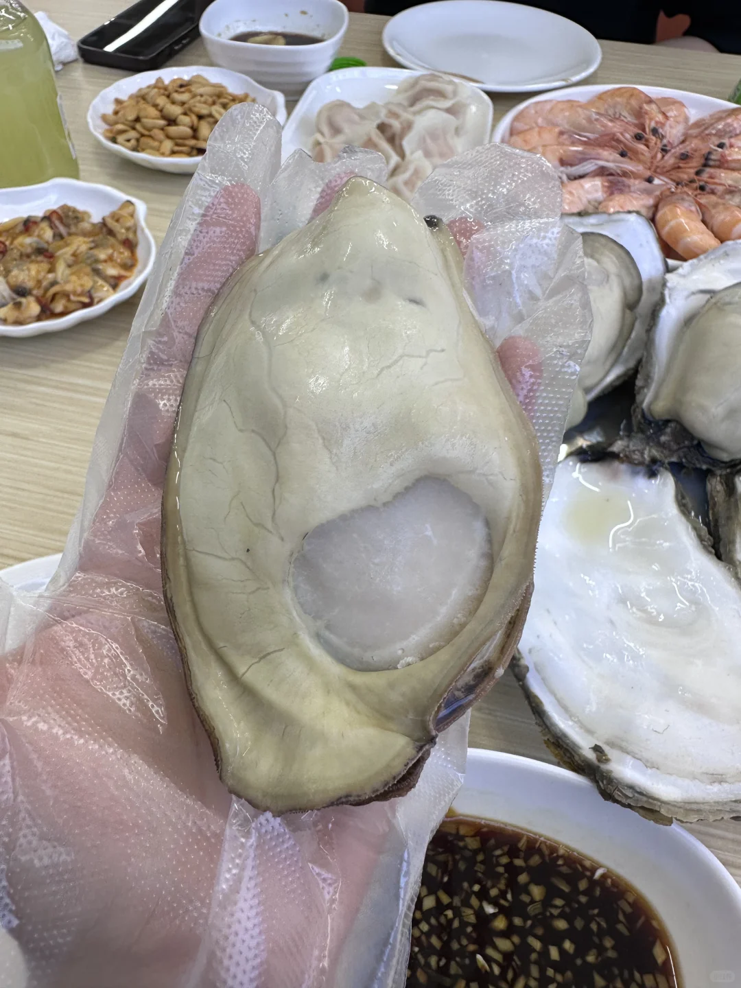 巴掌大的生蚝🦪在济南还有谁能超越这家店