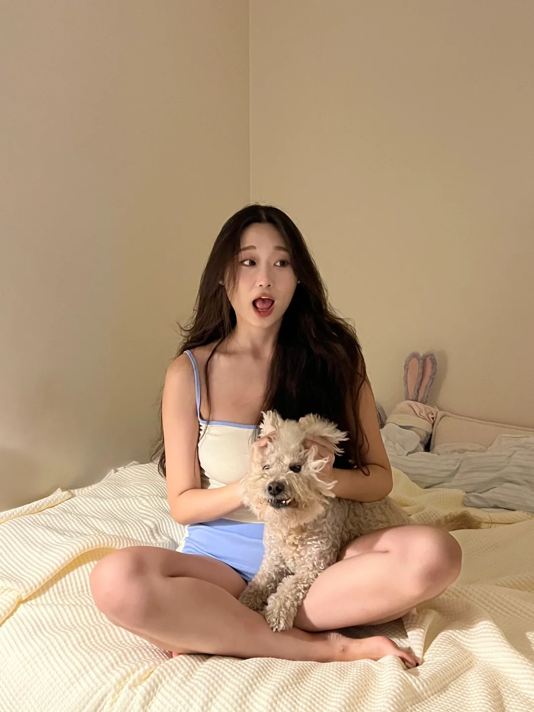 😱惊艳！小狗挤成肉团💖