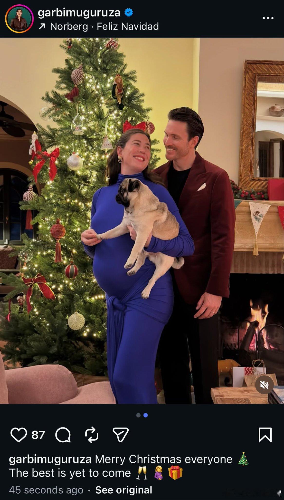 一些圣诞节合影🎄穆古鲁扎孕肚明显迪米特洛夫不忘训练鲁德带上假发高芙一家聚餐沃兹