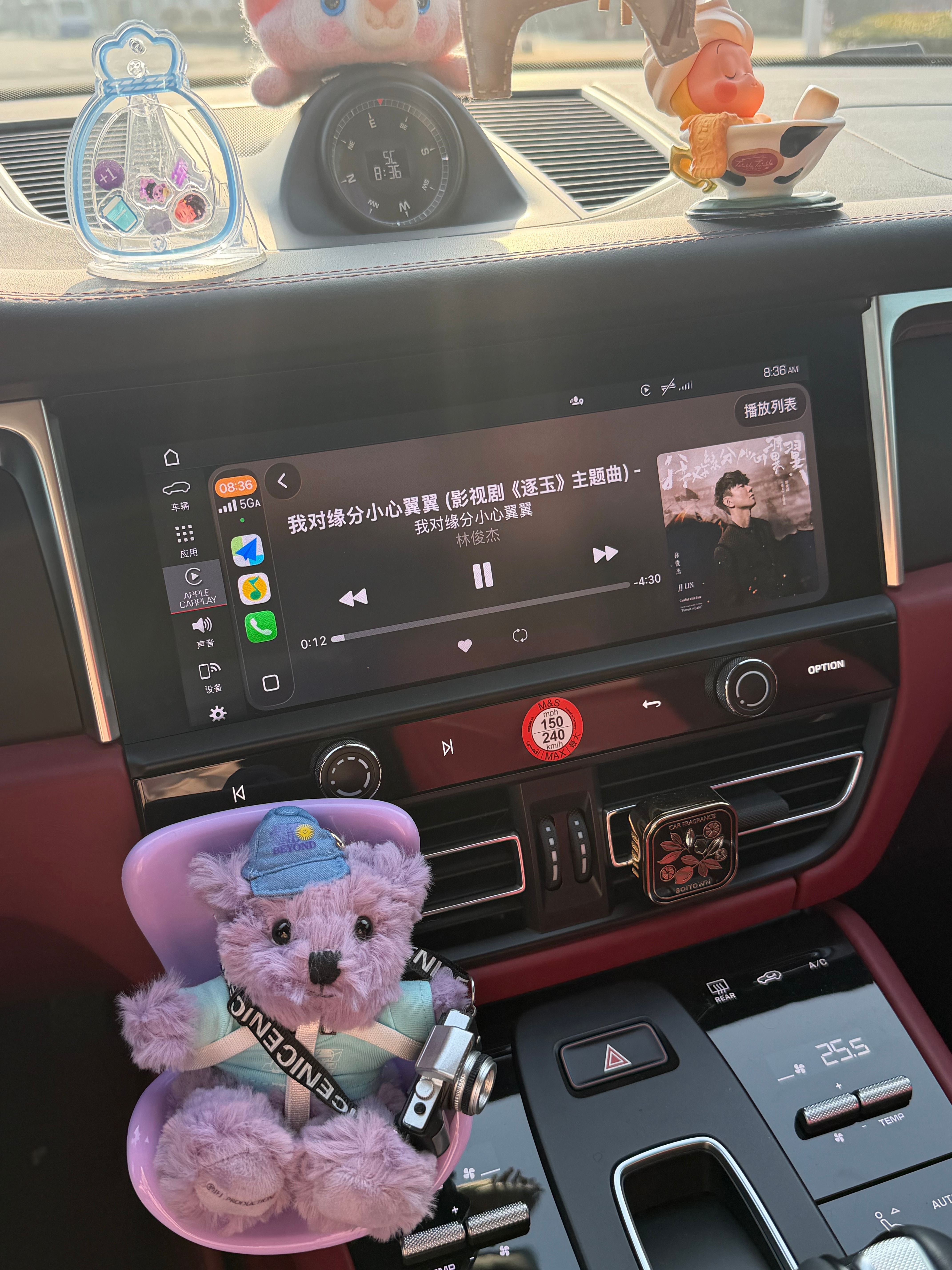 🐰⑅⋆˖ 𝑷𝒍𝒐𝒈"好好生活 其他的都交给时间"我的日常plog穿搭分