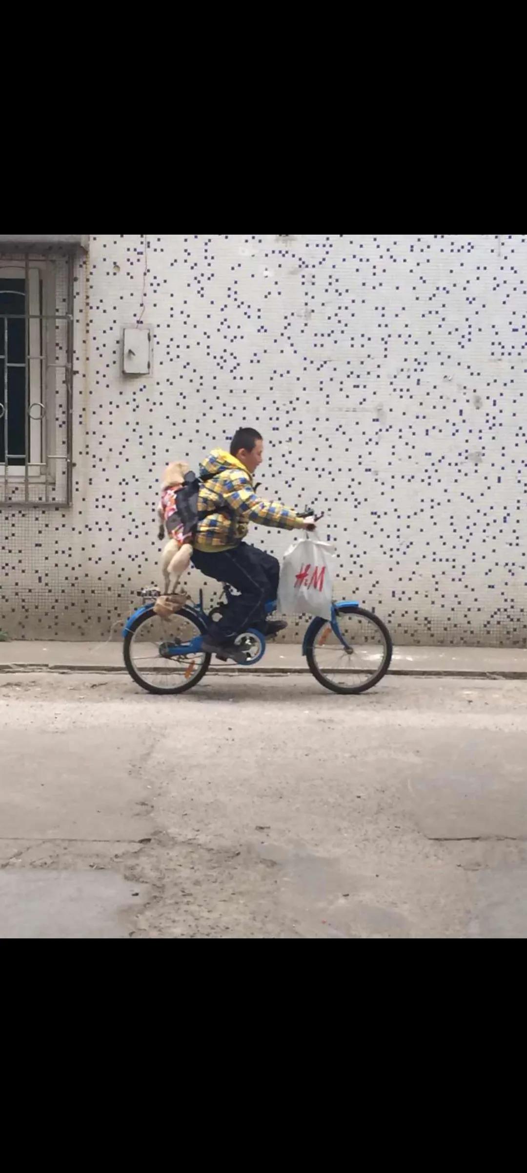 以前总爱粘着我的跟屁虫小朋友，是丈夫的叔叔的女朋友的儿子[笑哭]关系其实没有那么