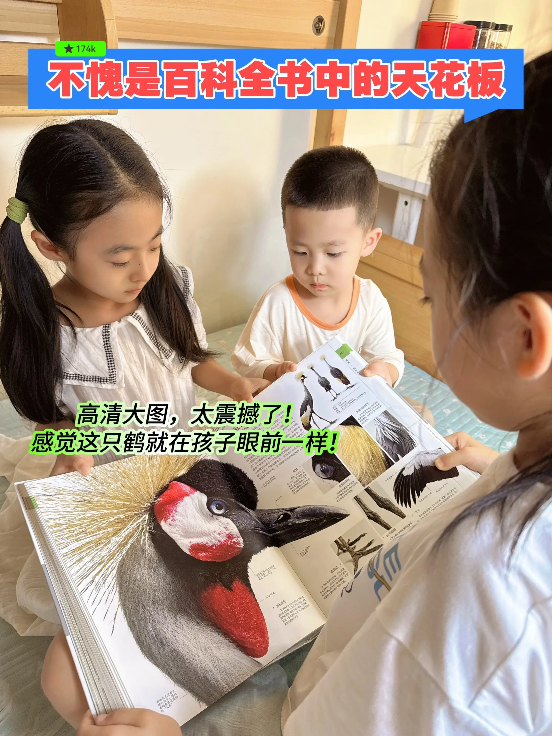 6年磨一剑的DK博物大百科！太震撼了‼️。所有你认识的，不认识的自然万...