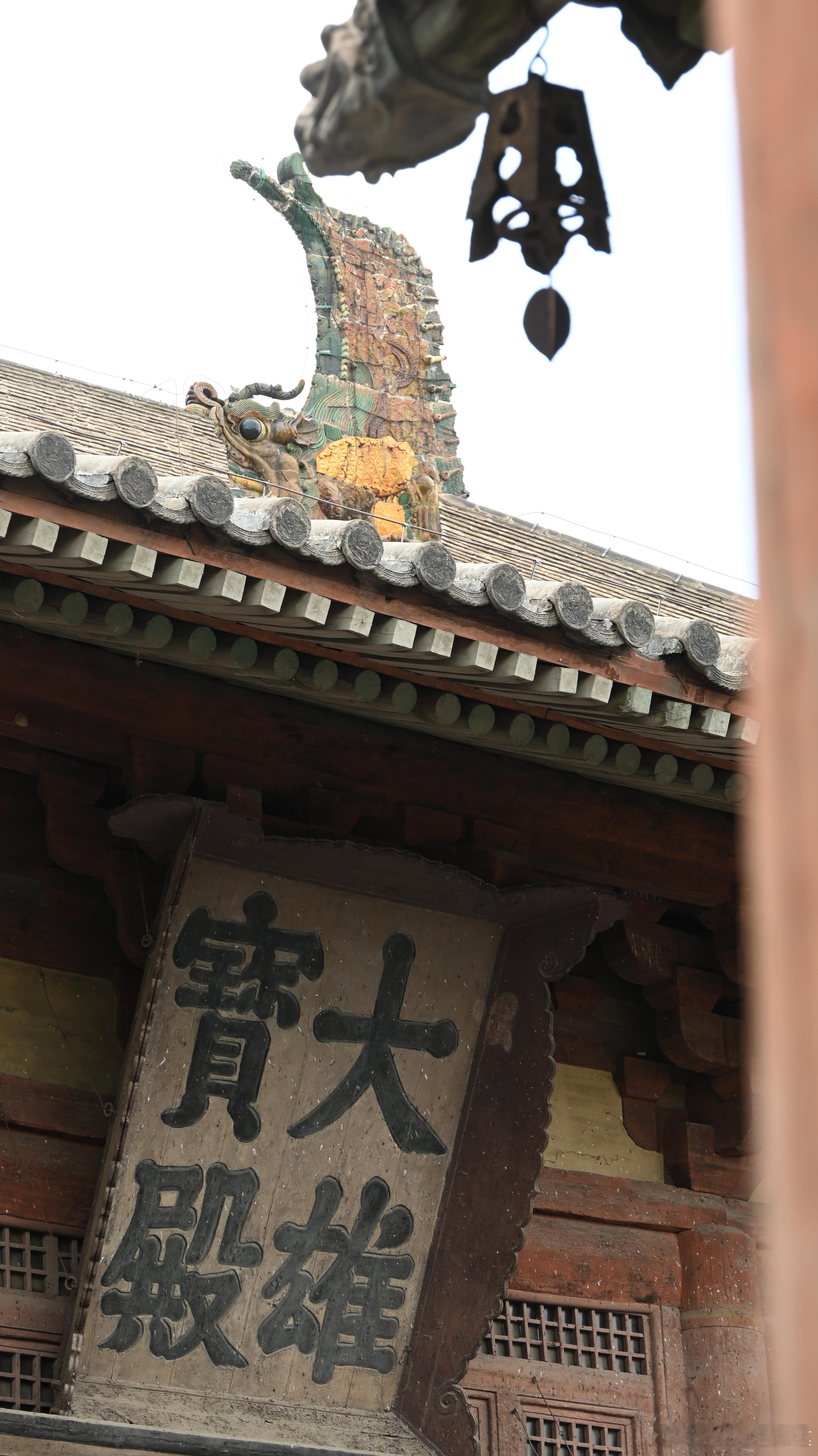 这家伙是真大。 ​​​