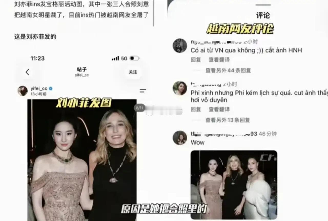 刘亦菲ins发合照把越南女星裁掉了，现在评论区被越南网友冲了[泪奔]重点是胡玉荷